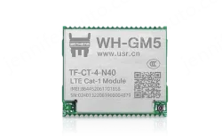 Cat-1 module
