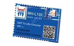 LoRa module