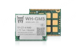 Cat-1 module