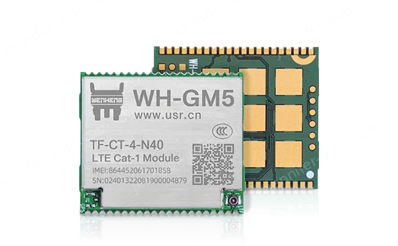 Cat-1 module