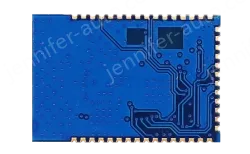 LoRa module