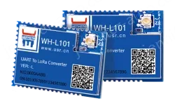 LoRa module